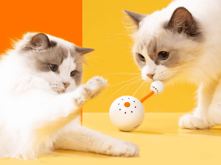 Дизайн мяча-компаньона Smart Pet Companion Ball